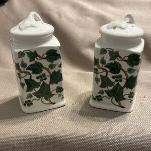Unbranded English Ivy Salt & Pepper Set